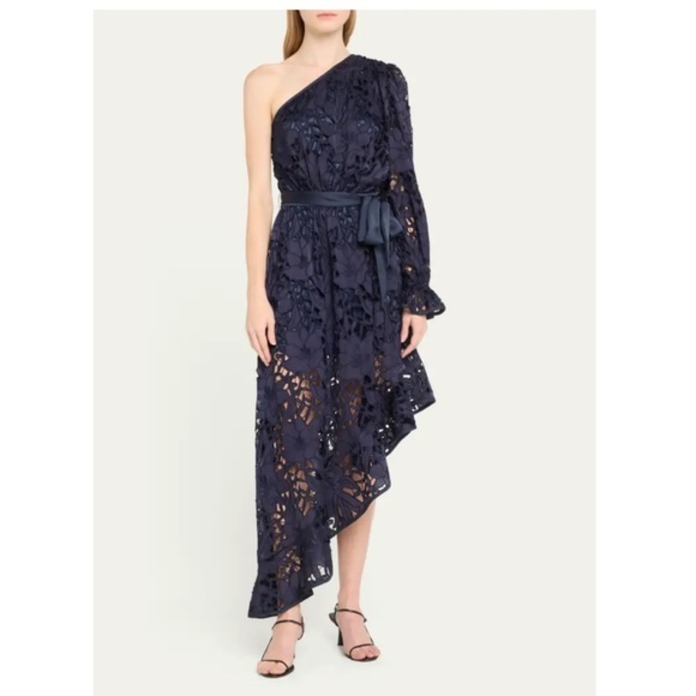 RAMY BROOK 🔥🔥 Jayda Asymmetric Dress
$1,275